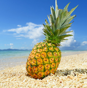 スクリーンショット 2017-08-01 7.14.38.png