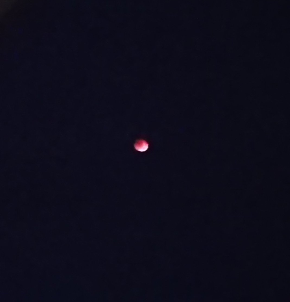 スクリーンショット 2018-02-01 6.10.27.png