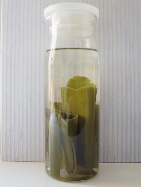 昆布水.jpg