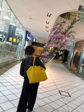 スクリーンショット 2018-04-02 19.38.42.png