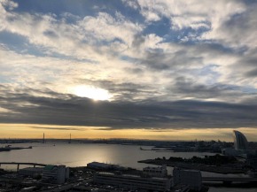 46176146_317651788832408_8542810567310573568_n (1).jpg