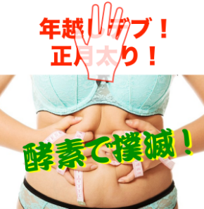 スクリーンショット 2018-12-12 9.03.04.png