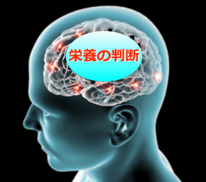 スクリーンショット 2019-01-27 12.01.39.png