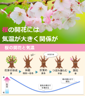 スクリーンショット 2019-03-21 6.43.01.png