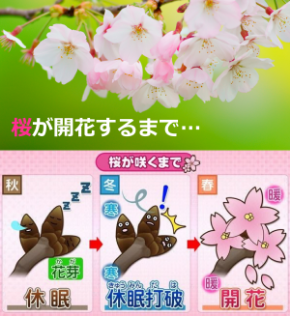 スクリーンショット 2019-03-21 6.42.13.png