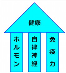 スクリーンショット 2019-03-25 8.26.37.png