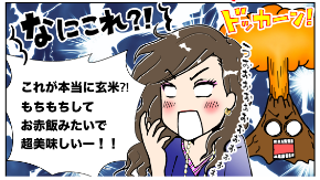 スクリーンショット 2019-04-11 6.17.16.png