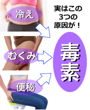 スクリーンショット 2019-04-11 6.15.00.png