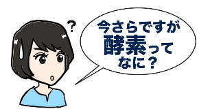 スクリーンショット 2019-11-28 5.56.09.png