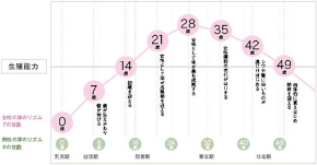 女性ホルモン下降グラフ.jpg