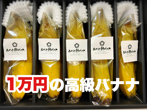 １万円のバナナ.jpeg