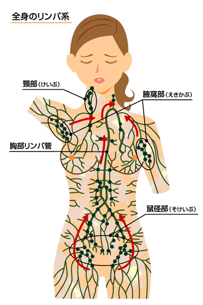 体の毒素２.gif