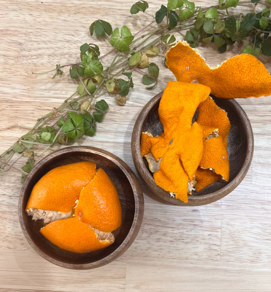 スクリーンショット 2023-01-23 11.54.14.png