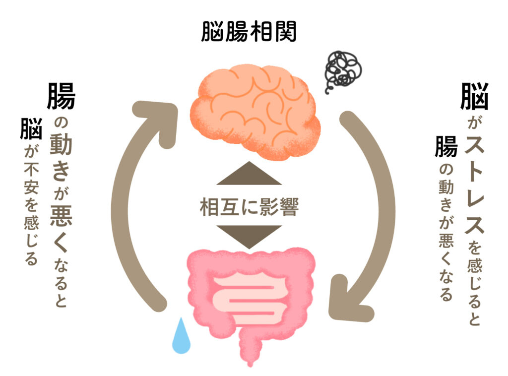 脳腸相関.jpeg