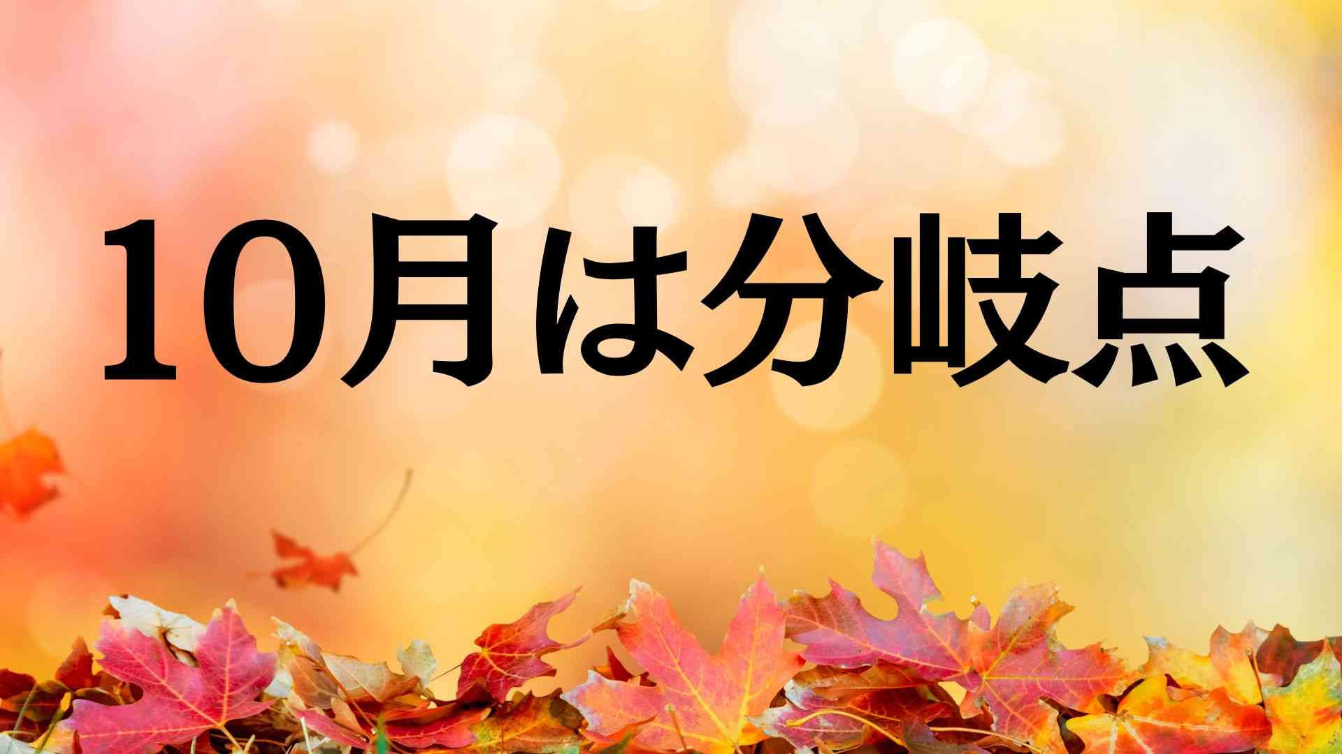 White and Black Traditional Executive Real Estate Project Status Presentation (1).jpg