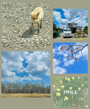 スクリーンショット 2025-05-06 22.09.46.png