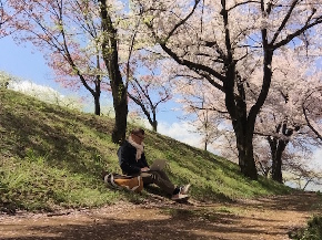 山梨