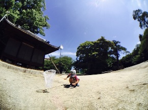 神社