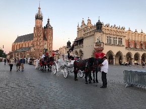 IMG_2721.jpg
