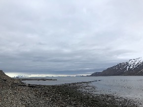 IMG_2988.jpg
