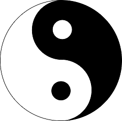 yin-yang-g1aebd4c_240.png