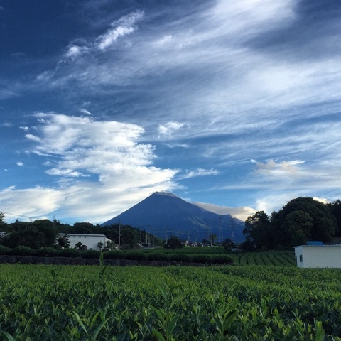 0829fujisan.jpg