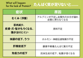 プロテインダイエットの図