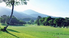 IMG_1452.jpg