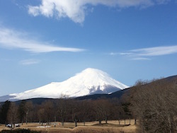 IMG_6949.jpg