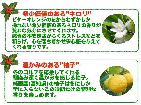 特長jpeg.jpeg