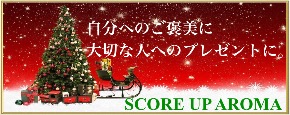 クリスマスプレゼントキャンペーン２.001.jpeg