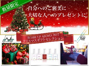 クリスマスギフトセレクション.001.jpeg