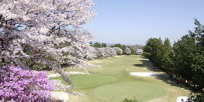 20170404_465310.jpg