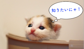 猫　悩み　病院.png