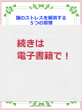 猫の5つの習慣.png