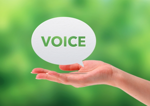 Voice.jpg