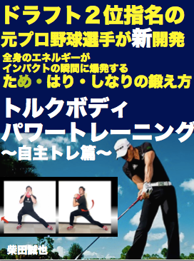 トルクボディ.png