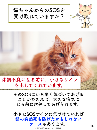 スクリーンショット 2020-05-30 08.41.40.png