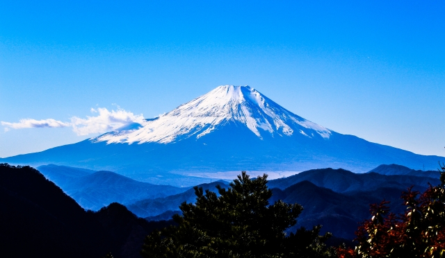 富士山　空室対策