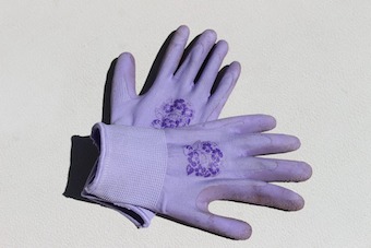 gardening-gloves-363494_960_720.jpg