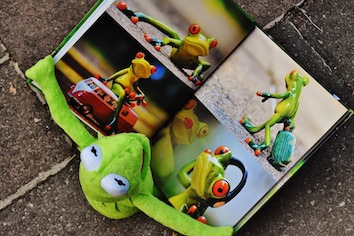kermit-1673471_960_720.jpg