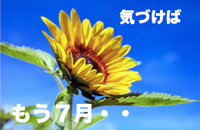 スクリーンショット 2018-07-05 11.08.47.png