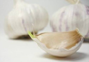 にんにく２.jpg