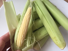 ヤングコーン生290p.jpg