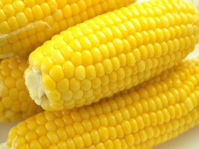 ゆでとうもろこし２９０.jpg