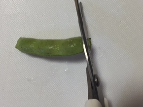 ゆで枝豆１.JPG