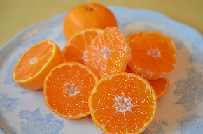 みかんのみっちゃん２ (1).JPG