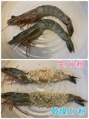 えび2縮小.jpg
