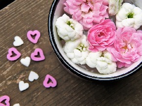 flowers-2537993_640.jpg