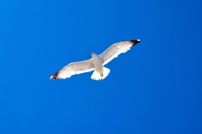 nature-3191858_640.jpg